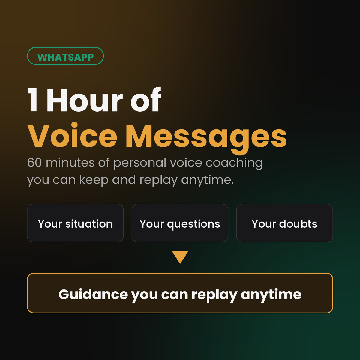 1 Hour of Voice Messages (WhatsApp Coaching)
